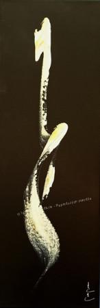 Galerie